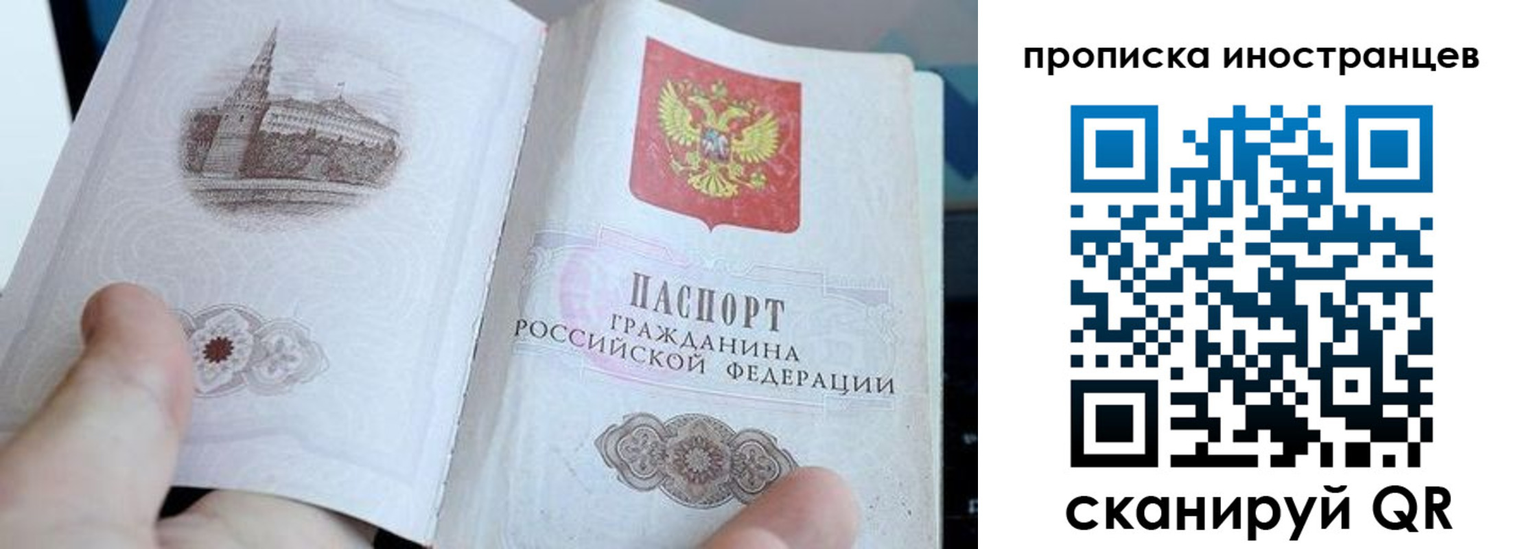 прописка поиск в Павлово